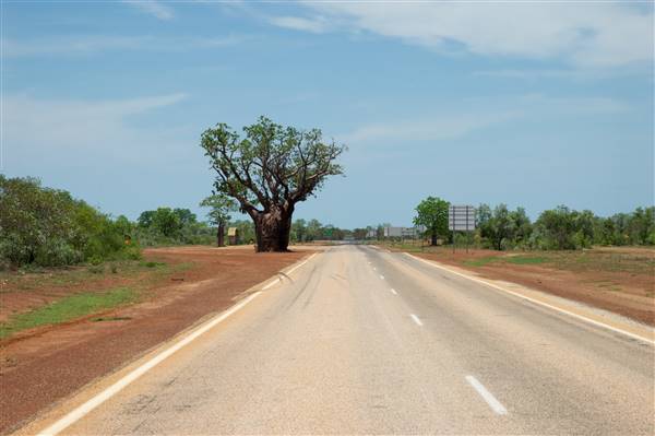 Derby - Landscapes - Road to Fitzroy Crossing (14/07/2016 - Credits: Tim Burns)