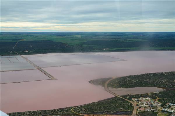 Pink Lake - Hutt Lagoon (15/09/2016 - Credits: Chris Veerhuis)
