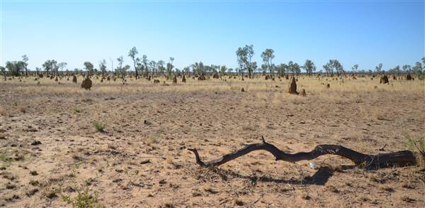 Derby - road from Broome to Derby (22/09/2016 - Credits: Chris Veerhuis)