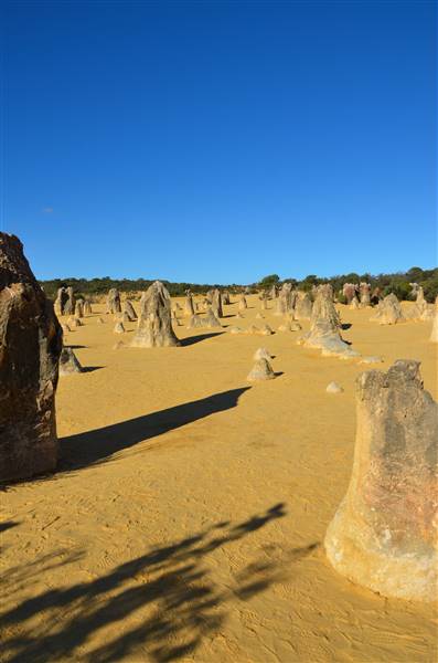 Pinnacles - Nambung National Park (27/06/2016 - Credits: Chris Veerhuis)
