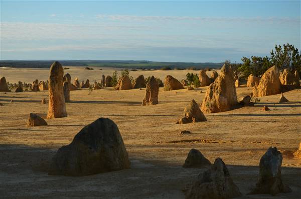 Pinnacles - Nambung National Park (27/06/2016 - Credits: Chris Veerhuis)