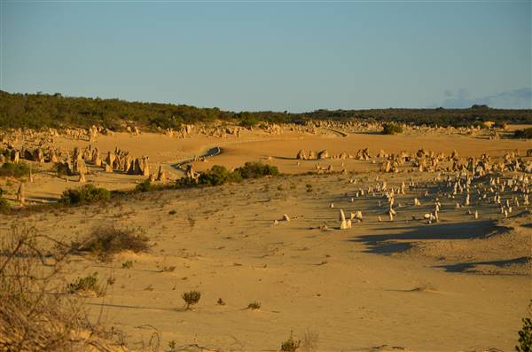 Pinnacles - Nambung National Park (27/06/2016 - Credits: Chris Veerhuis)