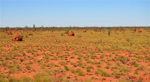 Port Hedland - Road heading north (29/09/2016 - Credits: Chris Veerhuis)
