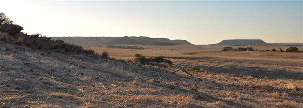 Chapman Valley - Spillman Property, Chapman Rd. (3/05/2017 - Credits: Chris Veerhuis)