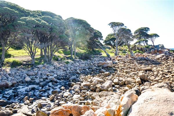 Bunker Bay (6/06/2017 - Credits: Duncan Jones)