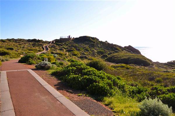 Cape Naturaliste - Sugar Loaf (19/06/2017 - Credits: Duncan Jones)