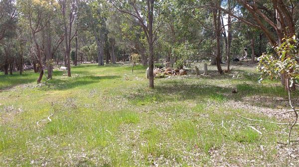 Mingah Mia Family Farm - This is the front paddock with a trough. It's like a giant oval with trees around the edges except where the fence between us and the neighbours runs. (7/10/2018 - Credits: Jo Jackson King)