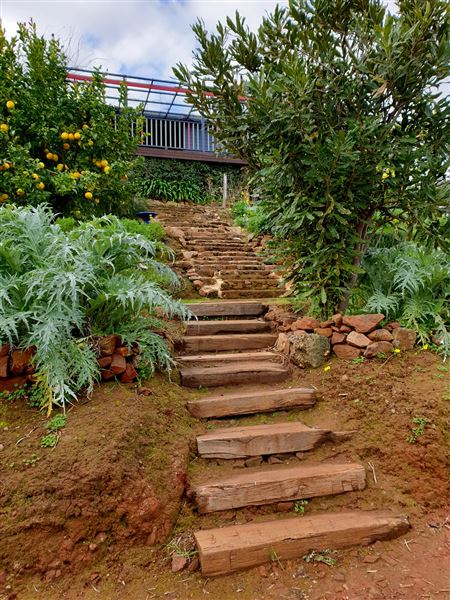 Little Hill Farm Bridgetown (10/12/2019 - Credits: Adam Roebuck)