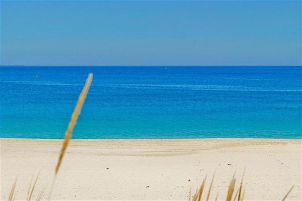 The Boronia - Beach near The Boronia House (24/01/2020 - Credits: Paul Roget)