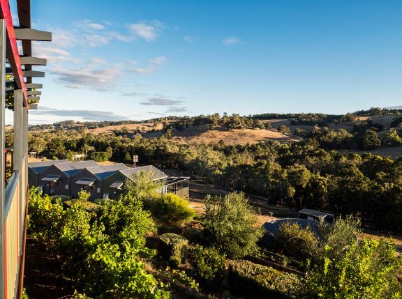 Little Hill Farm Bridgetown (28/03/2019 - Credits: Little Hill Farm Bridgetown (Pics take in March 2018 Summer))