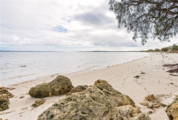 Herron Point, Birchmont - Herron Point shoreline and walking tracks (7/06/2020)