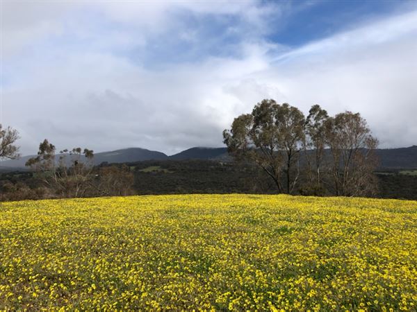 Craigendarroch, Porongurup (2/11/2021 - Credits: CMMS ELPS)