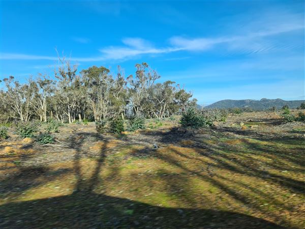Craigendarroch, Porongurup (2/11/2021 - Credits: CMMS ELPS)