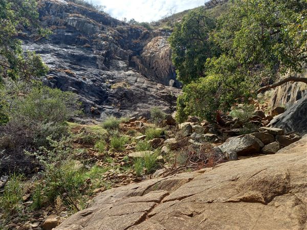 Lesmurdie Falls (2/07/2022 - Credits: Rachael Hawkins)