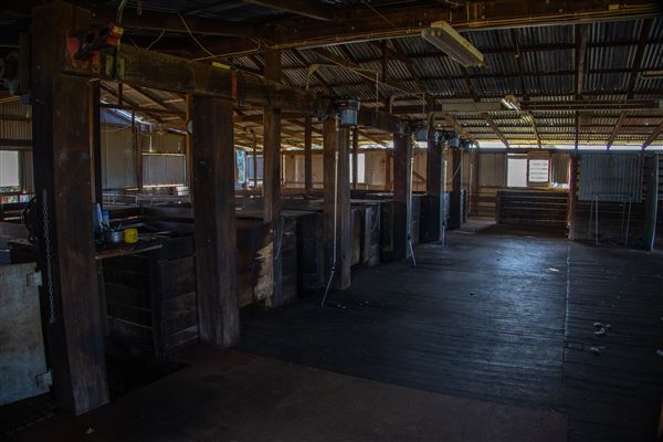 Greenhills farm buildings (Shearing shed, silos, general shed) - Shearing shed, silos, general shed (12/07/2022 - Credits: Kerryn Chia)