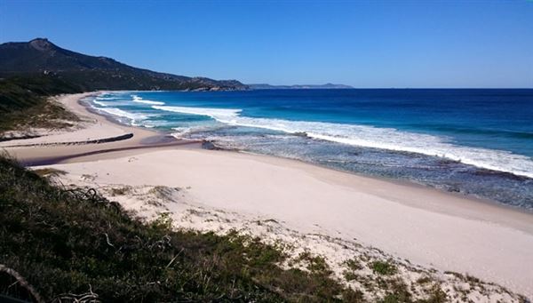 Norman's Beach, Albany (13/03/2023)