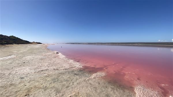 Pink Lake - Hutt Lagoon - Invisible Boys (2/02/2023 - Credits: Southpoint Productions)