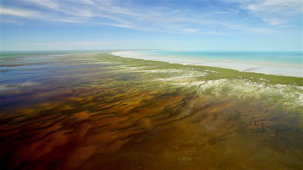 Broome - Town (19/02/2024 - Credits: Paul Bell)