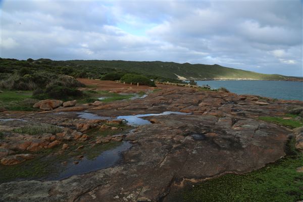 Cosy Corner (6/06/2023 - Credits: Aidan O'Bryan)