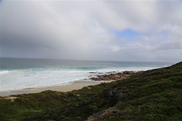 Gracetown (6/06/2023 - Credits: Aidan O'Bryan)