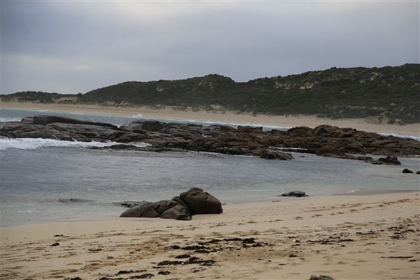 Surfers Point (6/06/2023 - Credits: Aidan O'Bryan)