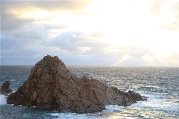 Cape Naturaliste - Sugar Loaf (6/06/2023 - Credits: Aidan O'Bryan)