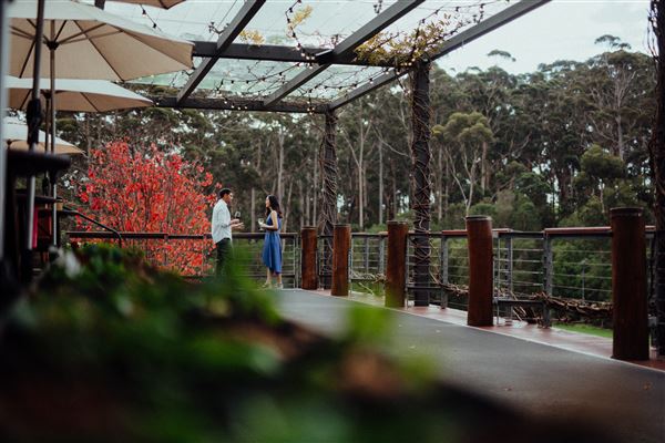 Margaret River - Leeuwin Estate Winery (25/03/2024 - Credits: Tourism Western Australia)
