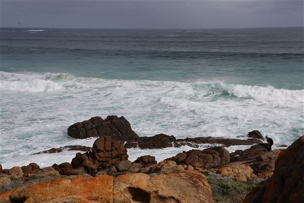 Yallingup - Torpedo Rock (6/06/2023 - Credits: Aidan O'Bryan)