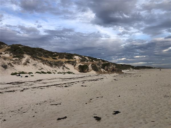 Claytons Beach (6/06/2023 - Credits: Aidan O'Bryan)
