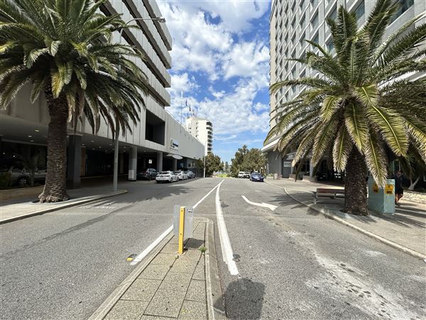 Adelaide Terrace (20/09/2023 - Credits: Shea Walsh)
