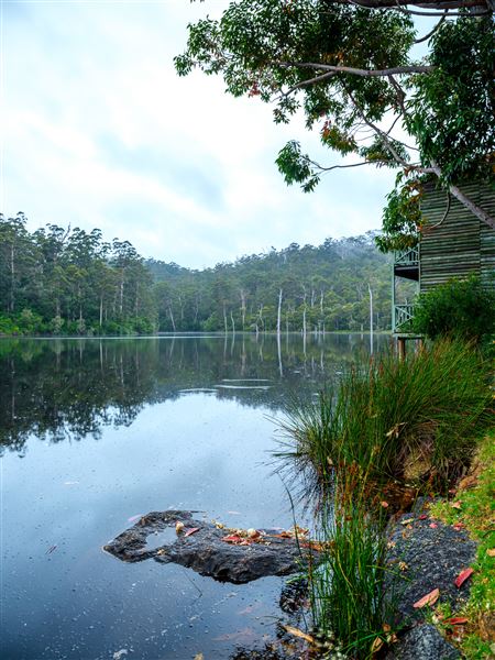 RAC Karri Valley Resort (24/05/2024 - Credits: Tourism Western Australia)