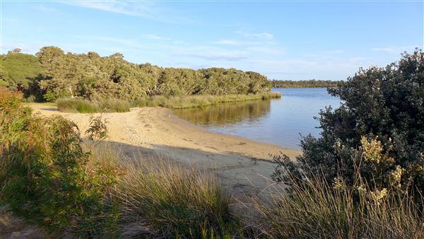 Hardy Inlet, Augusta (23/07/2024)