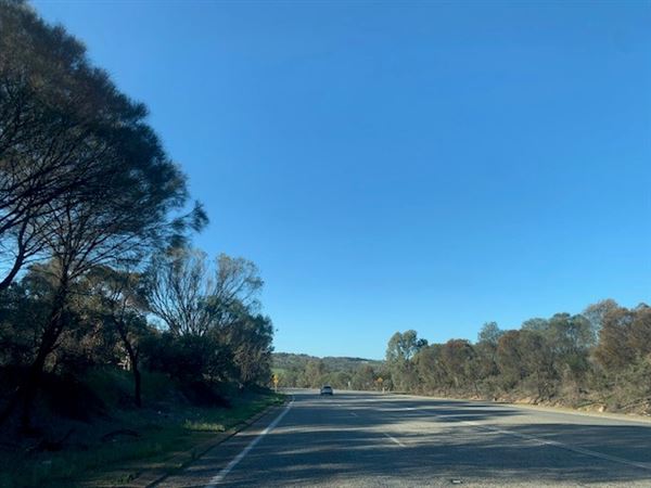 Bakers Hill (3/08/2024 - Credits: Gabrielle Cole)