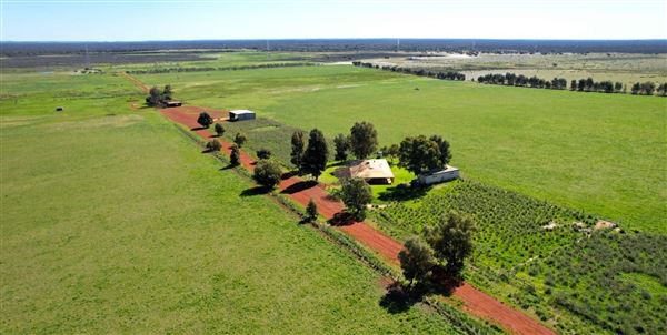 Wheatbelt Region (20/09/2024)