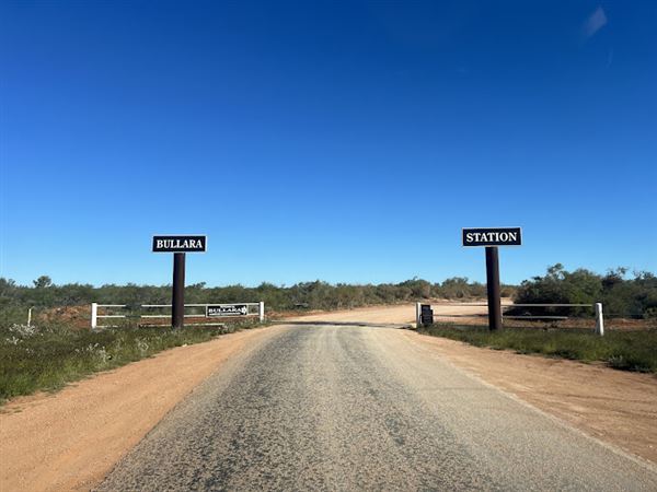 Bullara Station (23/10/2024)