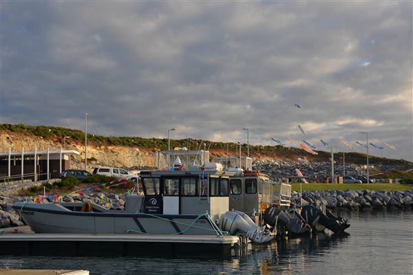 Augusta - Boat Harbour (13/11/2024)