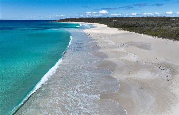Bunker Bay (10/01/2025)