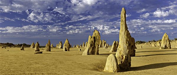 Pinnacles - Nambung National Park (17/01/2025 - Credits: Tourism Western Australia)