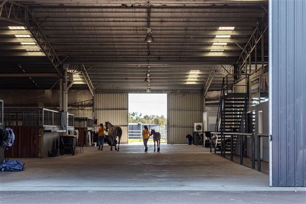Gold Front Breeding & Racing (28/01/2025)