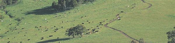 Nannup (13/02/2025)