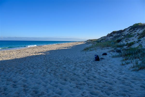 Floreat Beach (3/06/2025 - Credits: Xander Kabat)