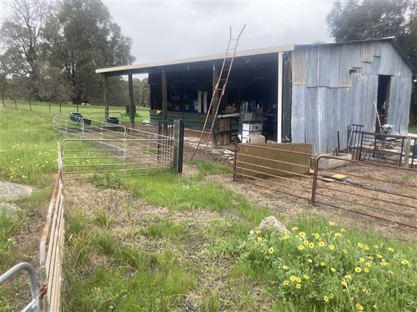 Glenferrie (6/09/2024 - Credits: Guy Bessell-Browne)