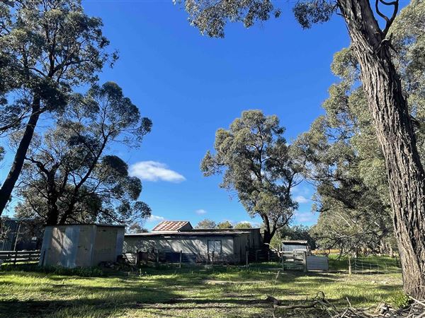 Shearing Shed @ Duke's Vineyard (28/06/2025 - Credits: Sarah Date)
