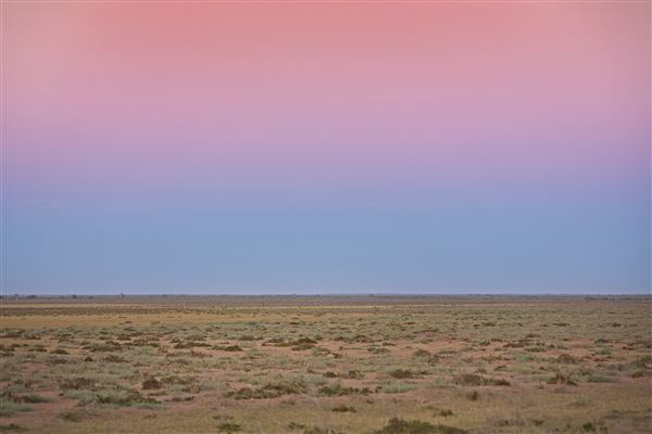 Pardoo Wagyu Station (10/06/2025 - Credits: submitted by: Monica Chetty)
