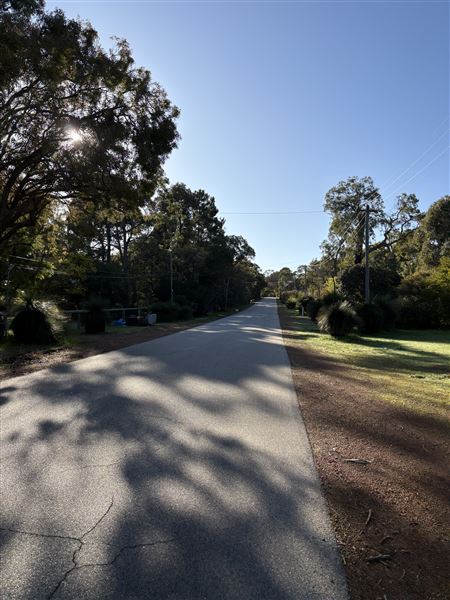 74 Cross Road (11/08/2025 - Credits: submitted by: Lena Hopkinson)