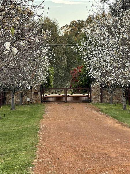 Sarlia Park (1/10/2025 - Credits: Advert from property purchase and then myself)