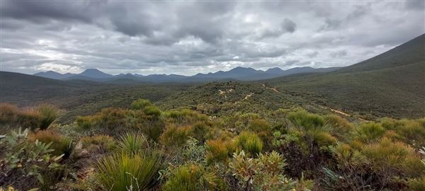 Porongorup National Park (12/12/2025)