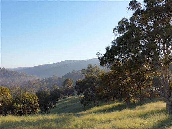 Brigadoon - Campresic Road (10/03/2026)