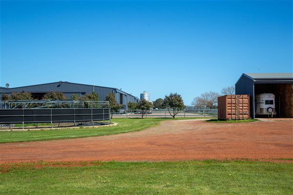 Gold Front Breeding & Racing (11/03/2026 - Credits: Louise Brady)