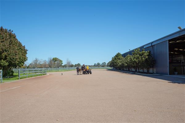 Gold Front Breeding & Racing (11/03/2026 - Credits: Louise Brady)